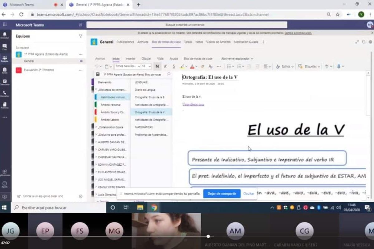 experiencia NEE