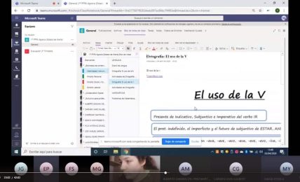 experiencia NEE