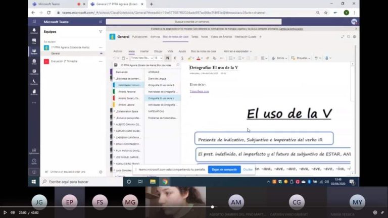 experiencia NEE