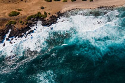 Recursos para descubrir los océanos