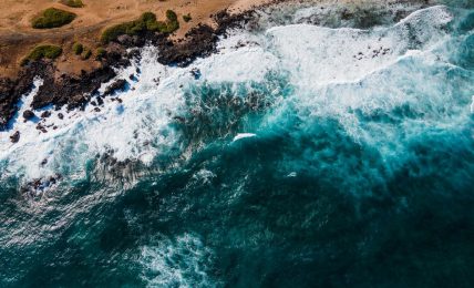 Recursos para descubrir los océanos