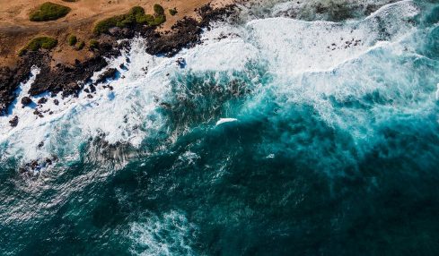 Recursos para descubrir los océanos