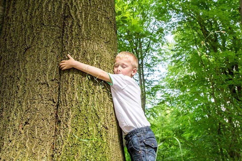 Día Mundial De La Protección De La Naturaleza Fechas Clave De Octubre