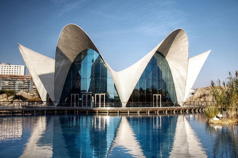 Oceanografic De Valencia - Océano