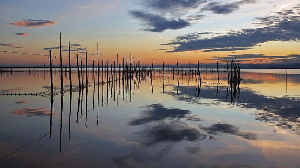 Parque natural de la Albufera 