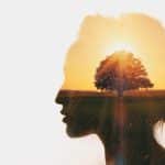 cortometrajes sobre inteligencia emocional