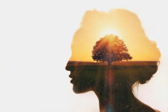 cortometrajes sobre inteligencia emocional