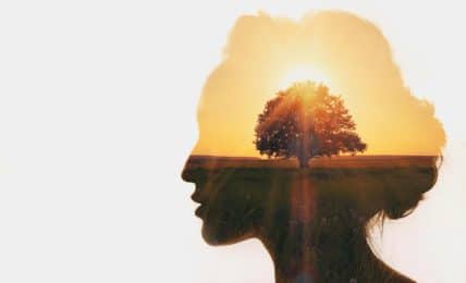 cortometrajes sobre inteligencia emocional