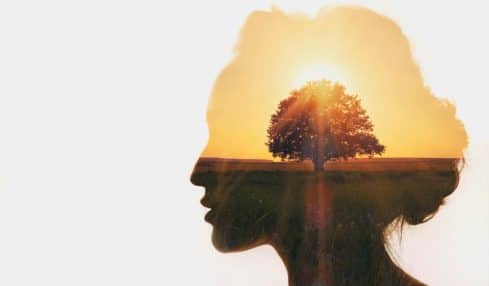 cortometrajes sobre inteligencia emocional