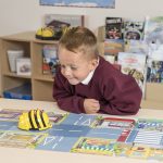 Bee-Bot robot programable