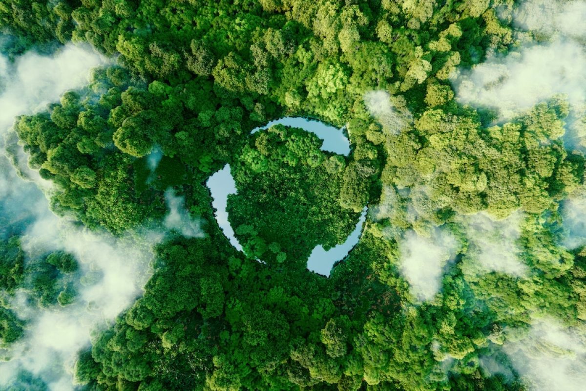 Estas charlas TED conciencian sobre la importancia del medioambiente ted mediambiente
