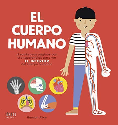 Recursos Para El Cuerpo Humano 