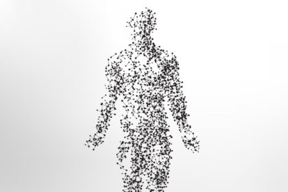 Cuerpo humano en Primaria