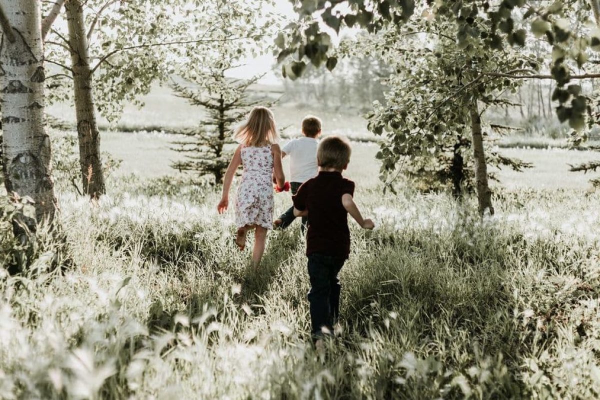 Beneficios de las escuelas-bosque en tiempos de pandemia escuelas-bosque