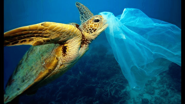 océanos contaminados 