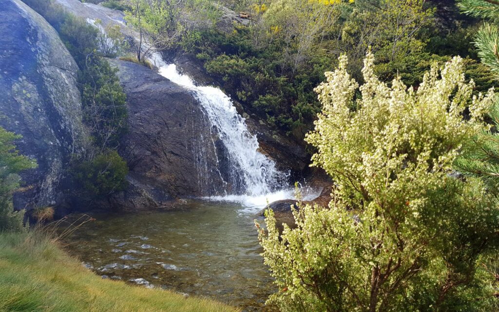 Chorro Grande en la Granja de San Ildefonso