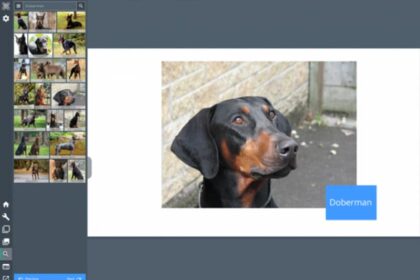 Lecciones interactivas aprendizaje a distancia