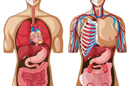 libros cuerpo humano