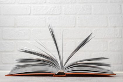 Novelas gráficas para adultos