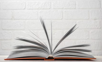 Novelas gráficas para adultos