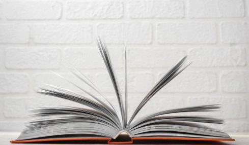 Novelas gráficas para adultos