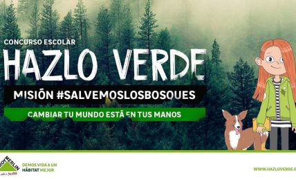Concurso escolar Hazlo Verde de Leroy Merlín