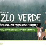 #SalvemosLosBosques