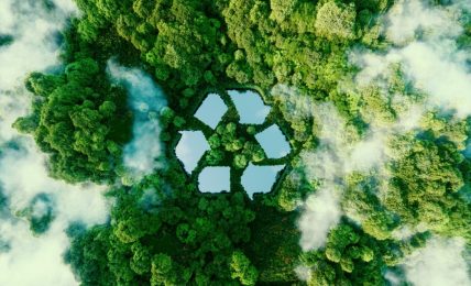 Libros para educar la conciencia ecológica