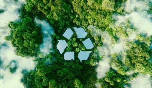 Libros para educar la conciencia ecológica