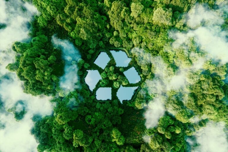 Libros para educar la conciencia ecológica