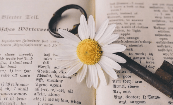 Escritura Inglés