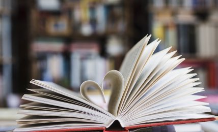 Novelas románticas adultos