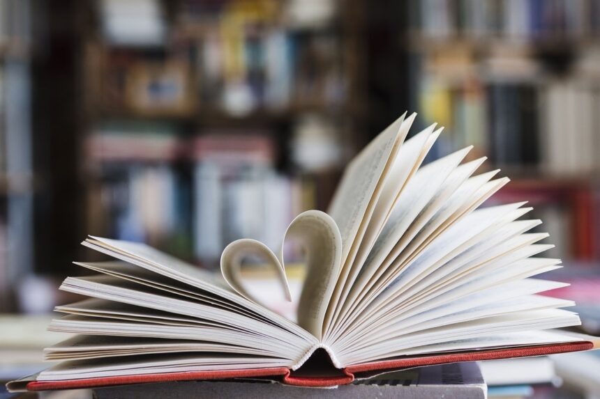 Novelas románticas adultos