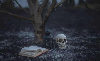 novelas de miedo y terror