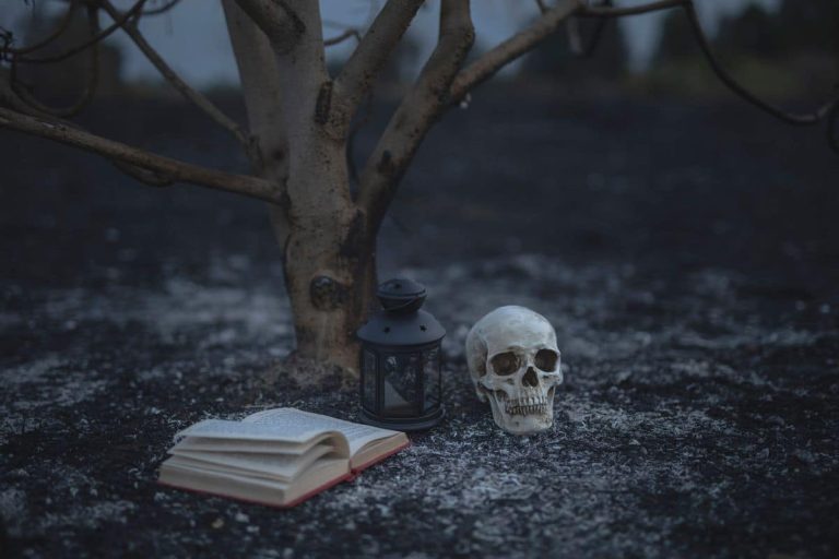 novelas de miedo y terror