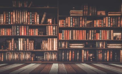 escritoras-que-no-pueden-faltar-en-la-estanteria-de-un-amante-de-los-libros