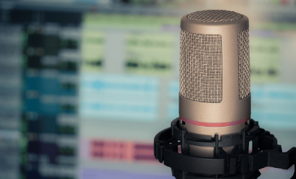 Podcast literatura
