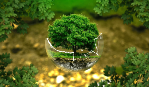 medio ambiente