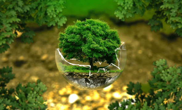 Medio Ambiente