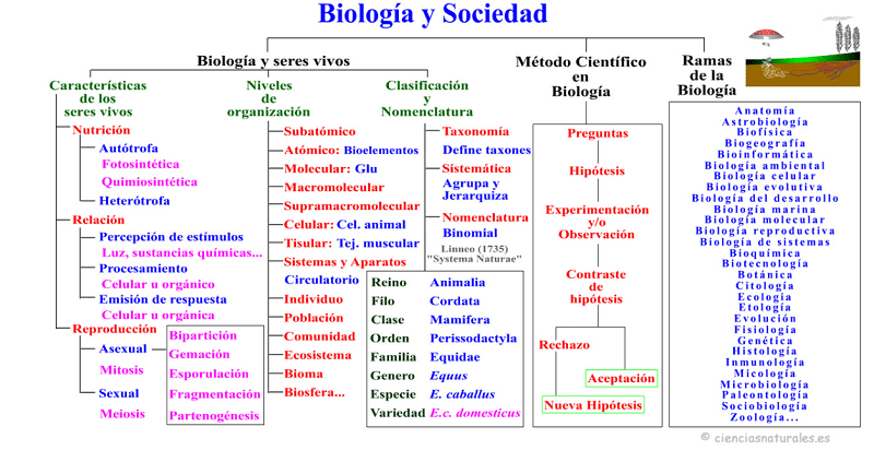 Ciencias Naturales