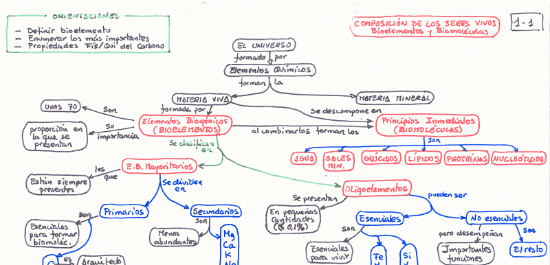 Mapa Conceptual Juan Ortíz 