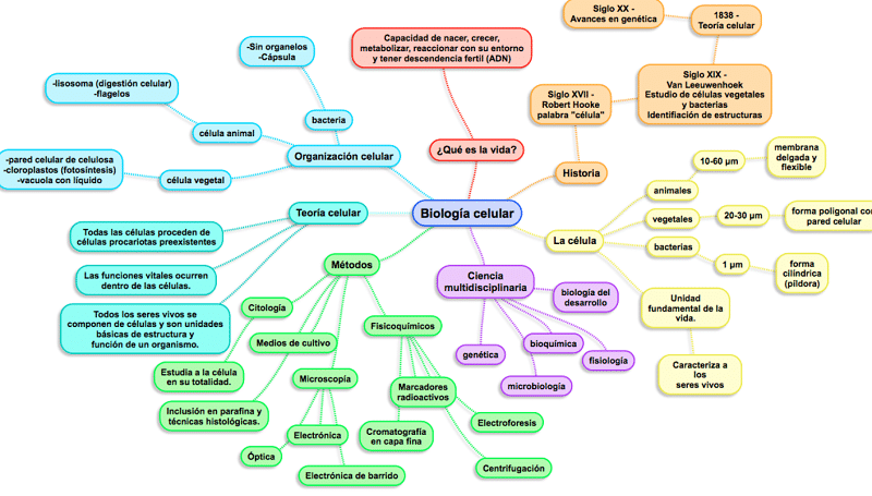 Mapa Biología Celular