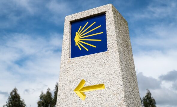 Camino De Santiago