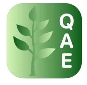 Qué arbol es