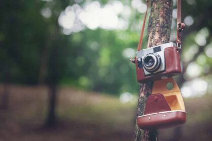 Cámaras analógicas