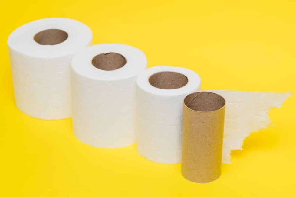 Manualidades con rollos de papel higiénico