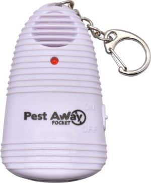 pest