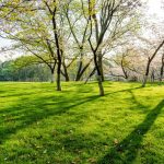 jardines con historia