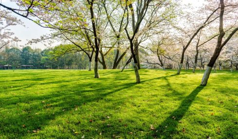 Jardines Con Historia