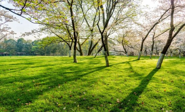 Jardines Con Historia